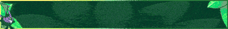 Project MINT Cobblemon server banner - play.projectmintmc.com