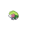 Shaymin Land